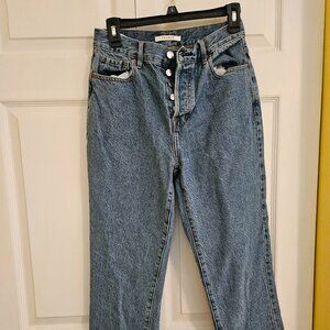 Pacsun high rise straight jeans 27L
